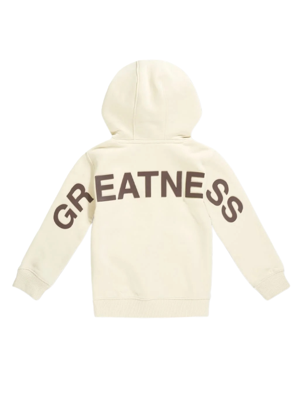 Kids Bold Greatness Hoodie