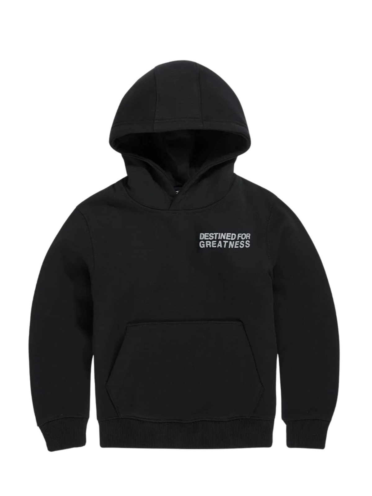 Kids Bold Greatness Hoodie