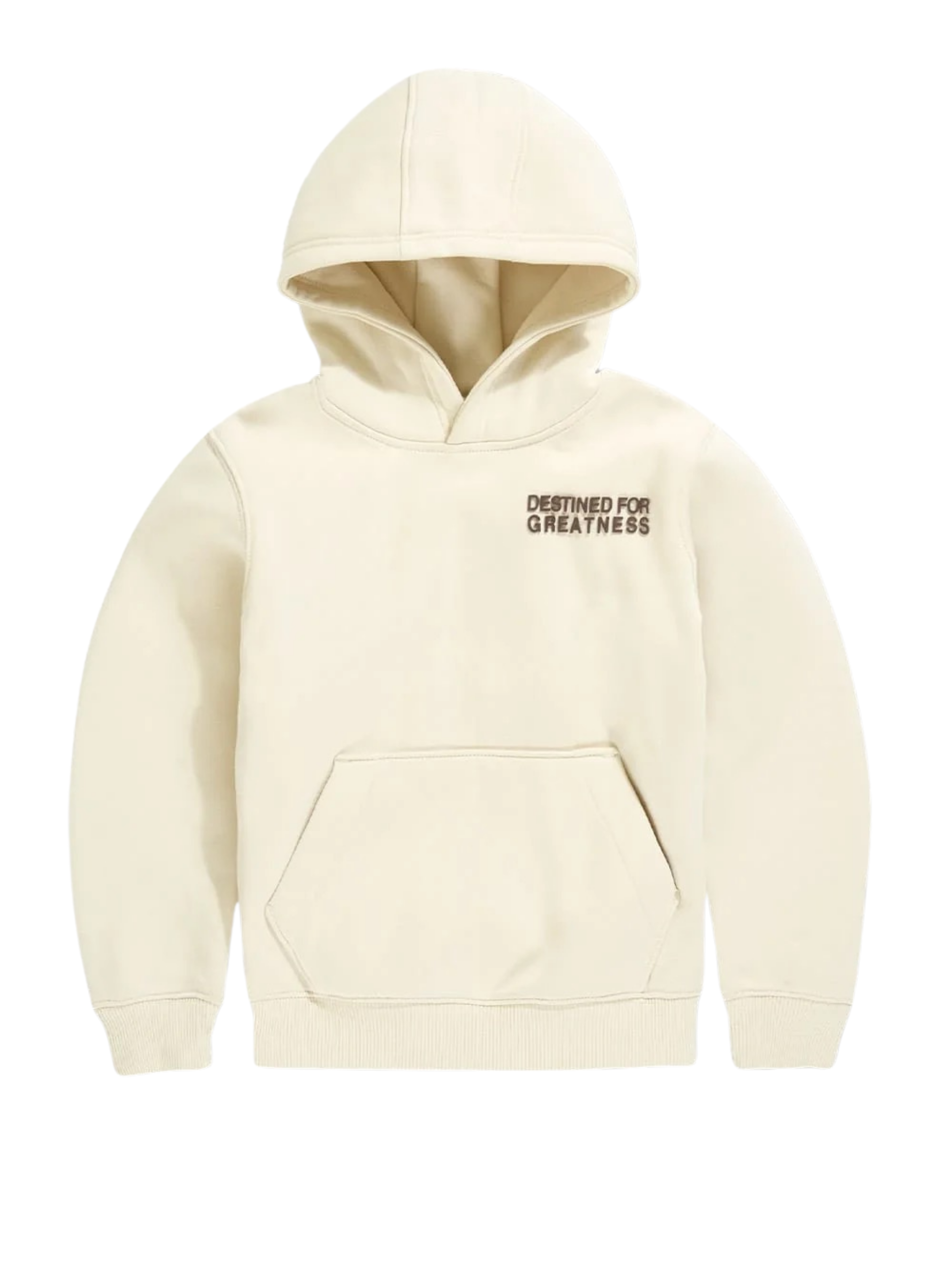 Kids Bold Greatness Hoodie