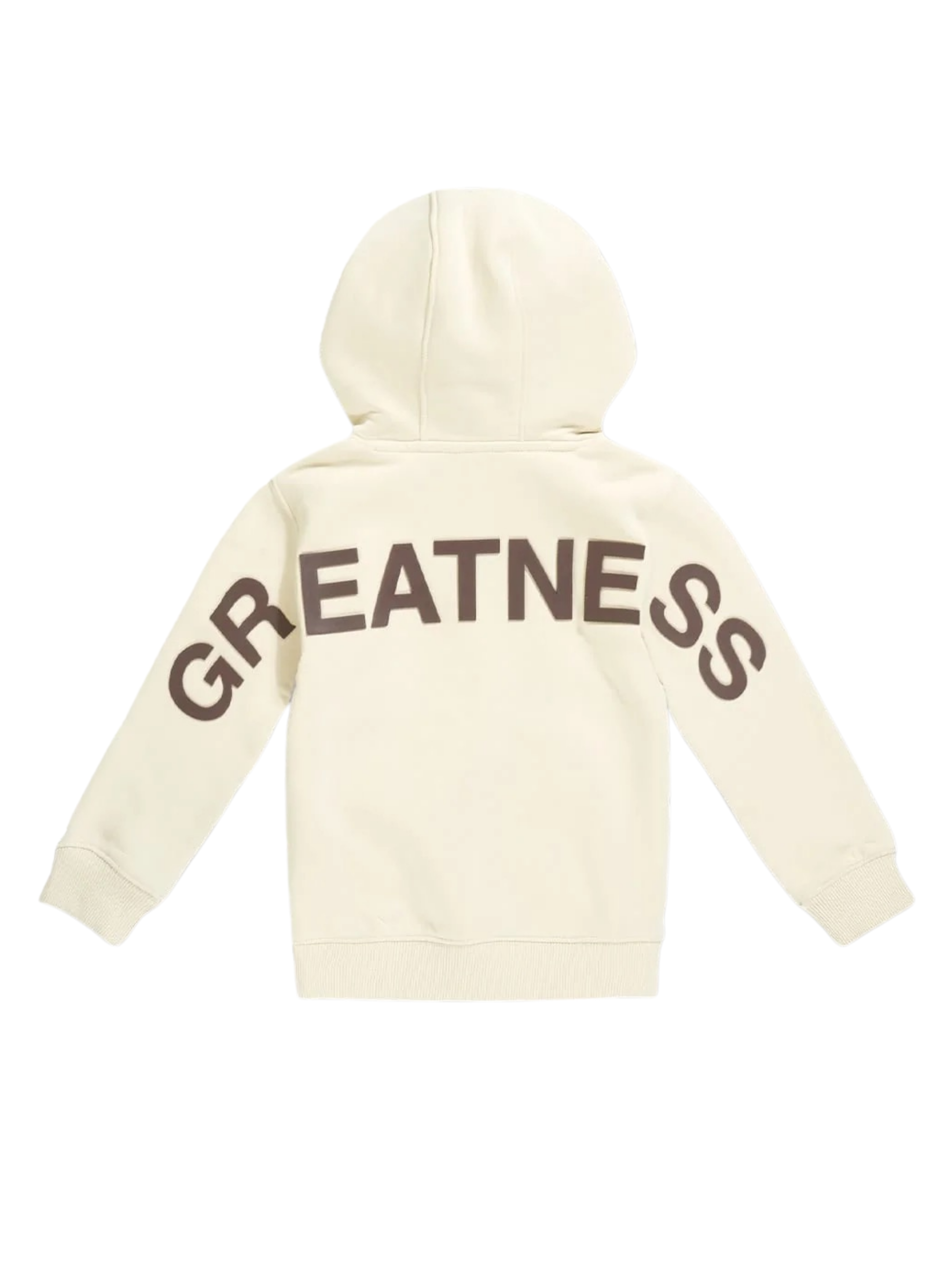 Kids Bold Greatness Hoodie