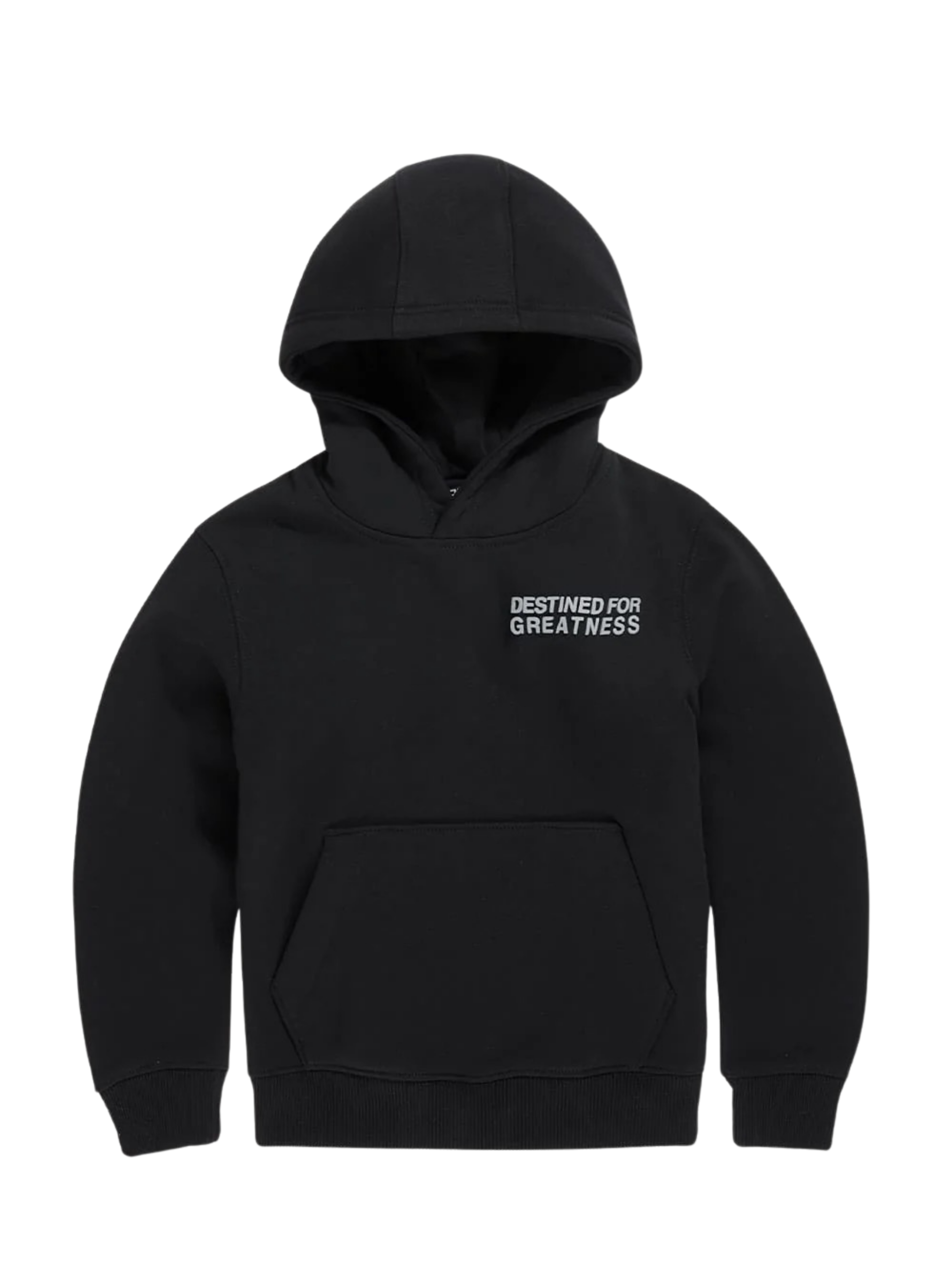 Kids Bold Greatness Hoodie
