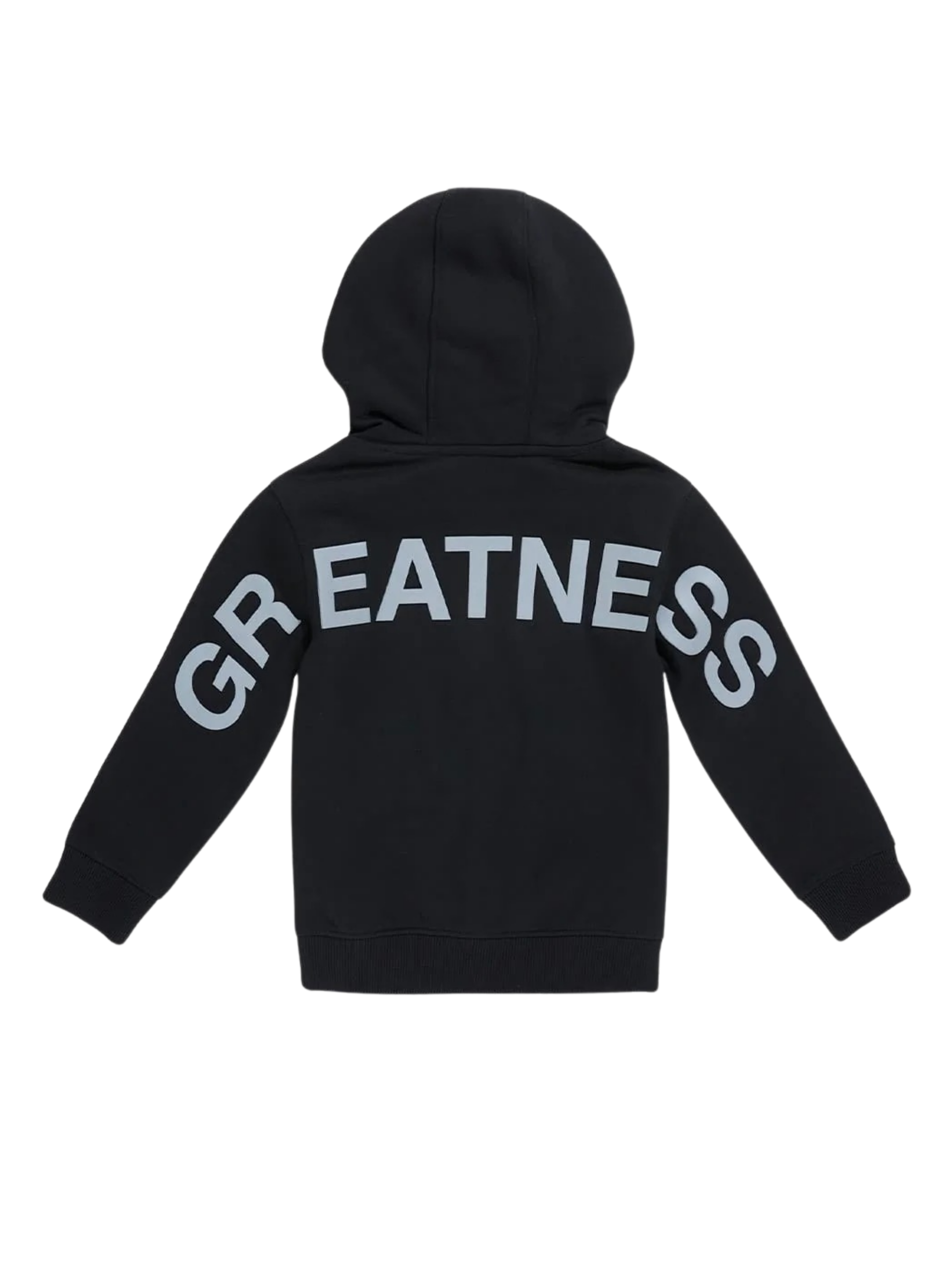 Kids Bold Greatness Hoodie